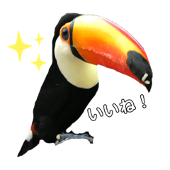 MATSU_20210110011220