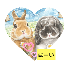 SAORI_20210110102930