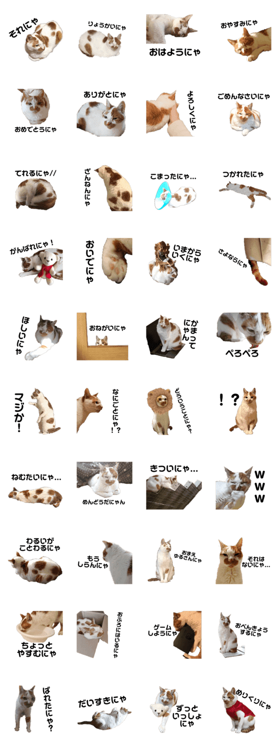 うちのねこスタンプฅ W ฅ Lineクリエイターズスタンプ Stamplist