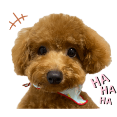 mizuki_20210110004906