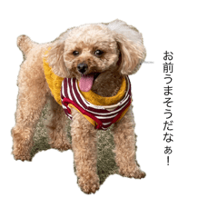 Tomomi_20210110130426