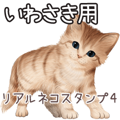 Iwasaki Real pretty cats 4