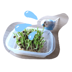 saori_20210110115241