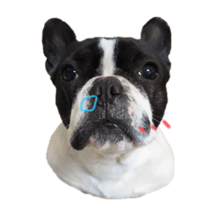 chisa_20210110134917