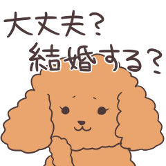 Marriage proposal toy-poodle sticker