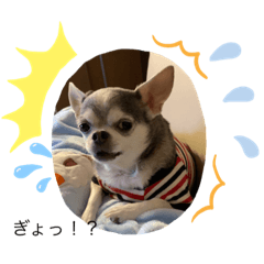 Yuka_20210110152335