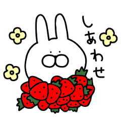 Adult pretty rabbit 2