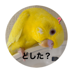 melon_20210110175712