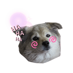 chisa_20210110212610