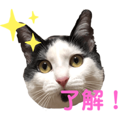sak_20210110215259