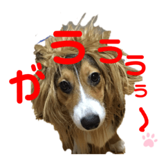 sanae_20210111062333