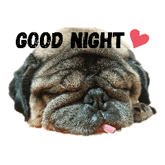 asuka_20210110202947