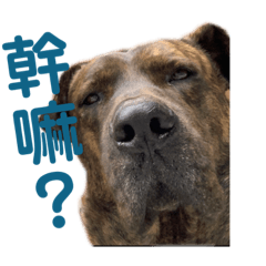 阿虎叔叔