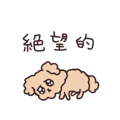 Toy Poodle that suffer from  depression