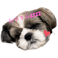 NATSUMI_20210111011154