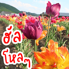 Flower Language (Spring Stickers)