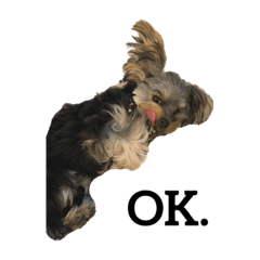 Kanae_20210110225046