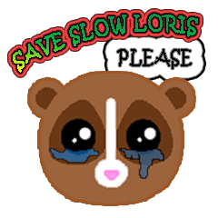 SAVE SLOW LORIS