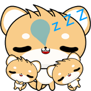 Sunny Day Shiba Inu (Haha)
