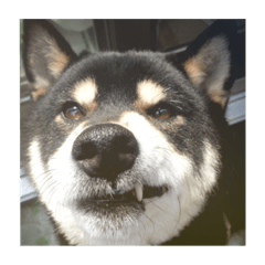 KAYO_20210111025123