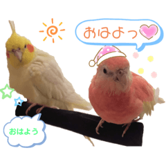 tonton_20210110233703