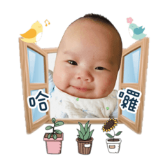 大飛寶寶