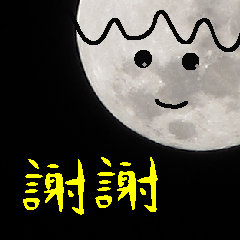 Super Moon-Moo Moo II，月亮代表我的心