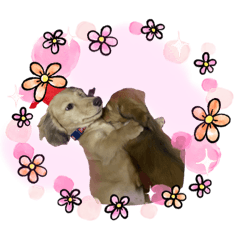 sherry_20210111155110