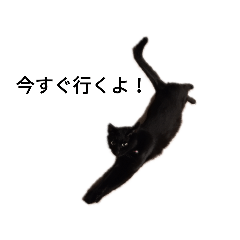 takashi_20210111160031