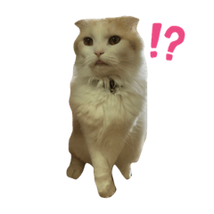 MIZUKI_20210111162157