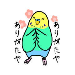 tori_20210111173134