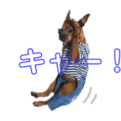 ARISA_20210111203659