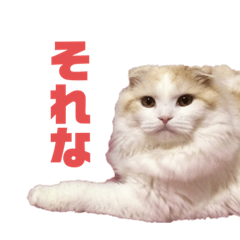 MIZUKI_20210111203856