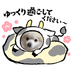 Ului._20210112005912