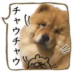 チャウチャウの茶太郎です Line スタンプ Line Store チャウチャウの茶太郎です Line スタンプ Line Store