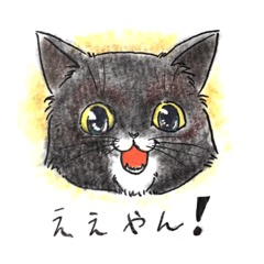 Freedom cats-Japan