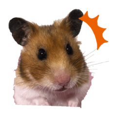 omochi_20210111213544