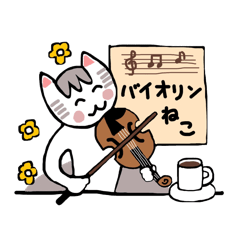 cat's violin life