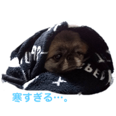 jk_20210112001041