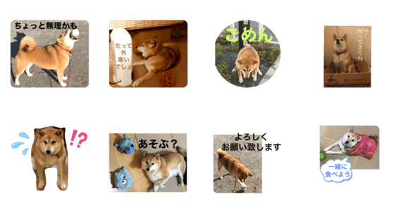 うちのすずさん 柴犬 Lineクリエイターズスタンプ Stamplist