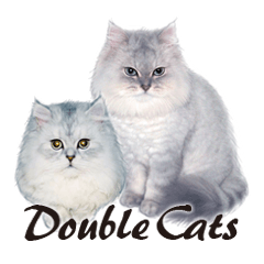 Double Cats咪美雙寶1