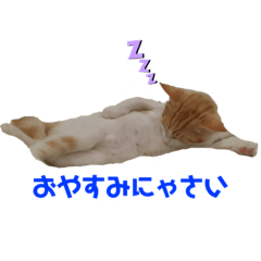 YUKARI_20210112110207