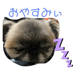 jk_20210112125855