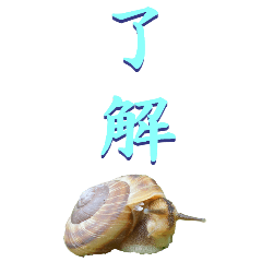 two Chinese characters From Snail-BIG