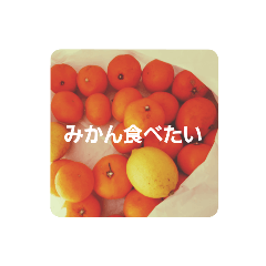 miki_20210112121656