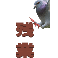 two Chinese characters From Pigeon-BIG