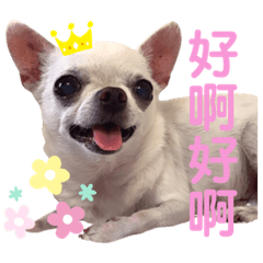 可可寶❤️❤️❤️