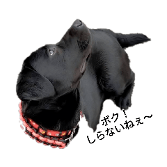 akiko_20210112133943