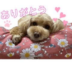 yun_20210112123600