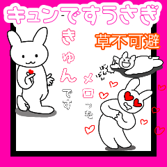 Kyundesu rabbit